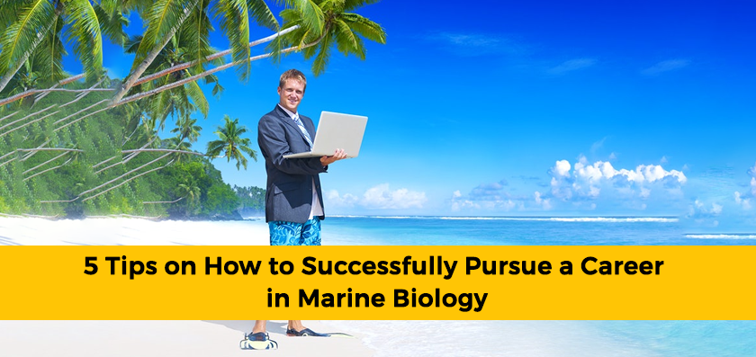 5 Tips on How to Successfully Pursue a Career in Marine Biology